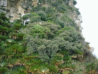 都井岬 御崎神社遠景